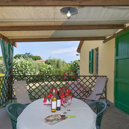 Il Pino - Mandorlo Cecina (Livorno)